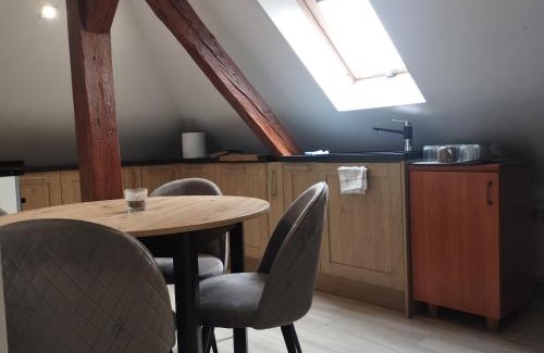 Gniezno Apartment | Villa Vip-pokoje,śniadanie, Apartament