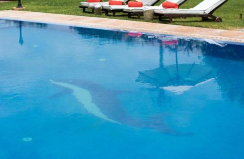 Sidi Abdallah Ghiat Villa | Villas Fleurs Marrakech