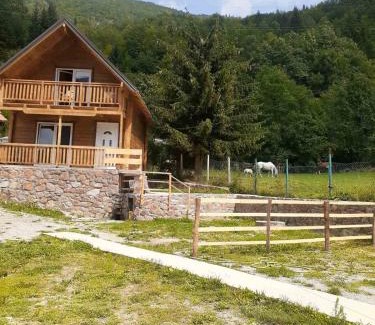 Pejë Ski Chalet | Villas Meti Rugove