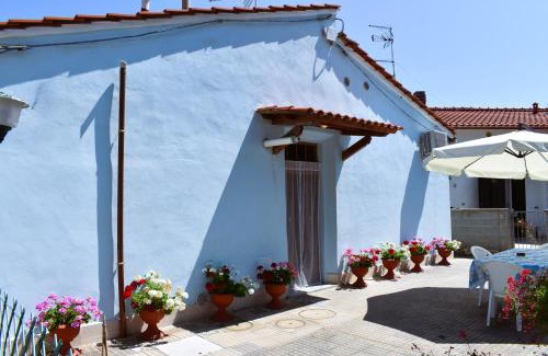 Marina di Pisa House | Villino La Perla Azzurra- Marina di Pisa