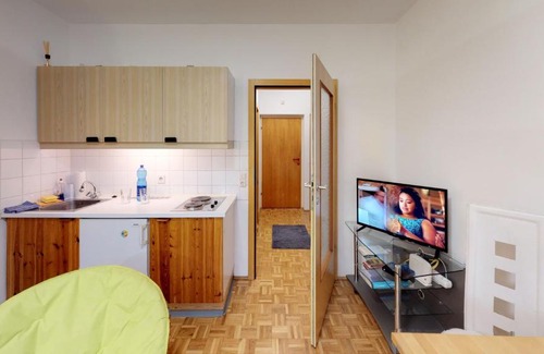 Gmunden Apartment | Vintage Garconiere mit Balkon - 25 m2