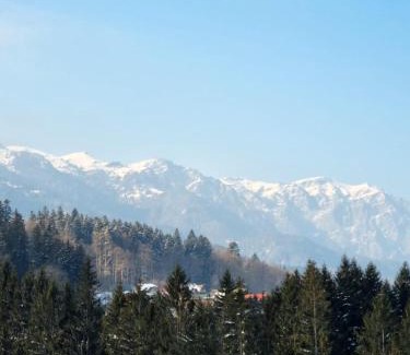 Sinaia Apartment | Vintage Home