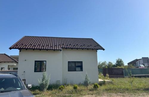 Mioveni House | Viraj