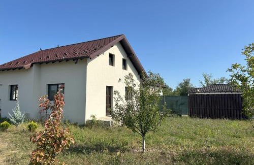 Mioveni House | Viraj