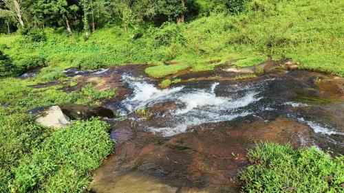 Valparai House | VLP home stay