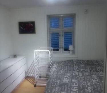 Voss Apartment | Voss Sentrum 400 m