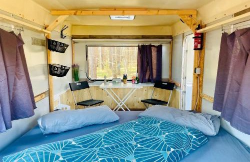 Cottbus Other | WaldCamp mit einfachen und zweckmässigen Hütten und Caravans Natur Pur