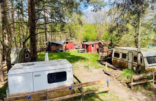 Cottbus Other | WaldCamp mit einfachen und zweckmässigen Hütten und Caravans Natur Pur