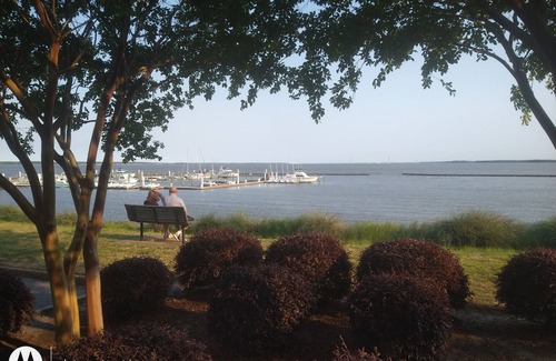 Kingsmill Apartment | Walk to beach, large room on wooded lake, "Kingsmill on the James"