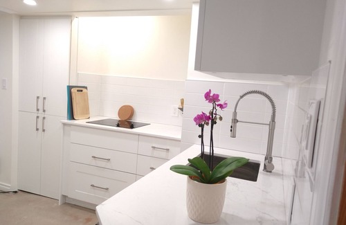 Edmonton House | Walk to U of A, Trains, Trails, Cafes, Pubs!