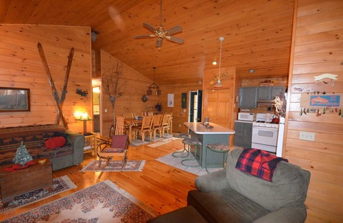 Bellaire Cabin | Waterfront log home on Lake Bellaire. Pet friendly. Fireplace, dock. dog ok