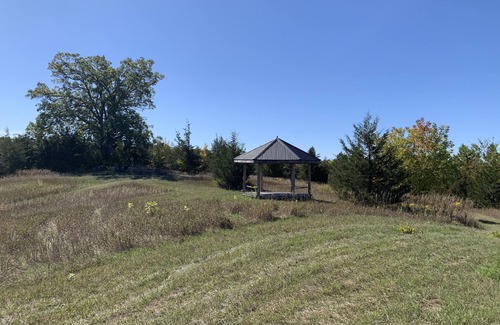 Stirling House | Wee Willa at The Tamarack Shack Homestead. Friendly farm animals to visit with!