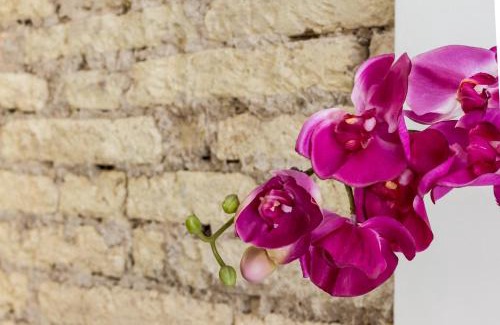 Pamplona City Centre Apartment | Welcoming Apart Old Town