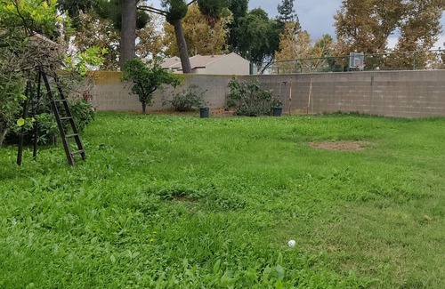 West Covina House | West Covina Paradise