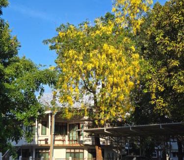 Bang Sai House | Whales Come to the River - Riverside - 3 rooms on 2nd floor