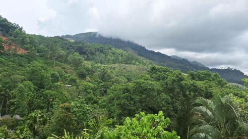 Passara Hotel | White House Holiday Inn