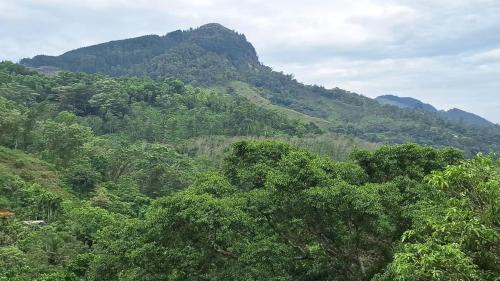 Passara Hotel | White House Holiday Inn