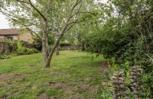 Whitchurch House | White Roses