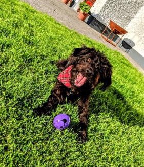 Bunnyconnellan House | Wild Atlantic Haven, cosy home nr. Ballina & Beach