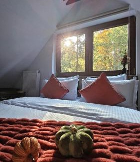Sinaia Ski Chalet | Wild House