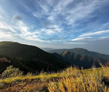 Vagamon Other | Wild Jacket