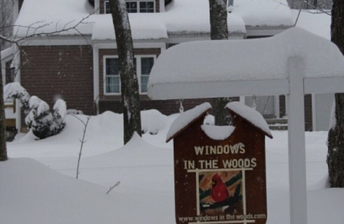 Coudersport House | Windows in the Woods
