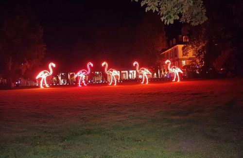 Waldstadt Feldlage Apartment | Wohnung Waldstadt-Zentrum