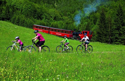 Strobl Apartment | WOLFGANGSEE, center, near the lake, jacuzzi, dog-friendly, SKY-TV,