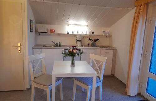 Reinhardtsdorf-Schoena Apartment | Wolfsbergblick