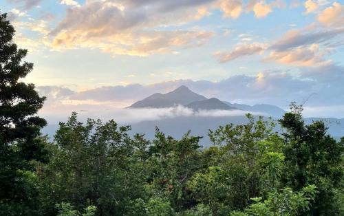 Cow Bay Bed & Breakfast | Wompoo Eco Retreat