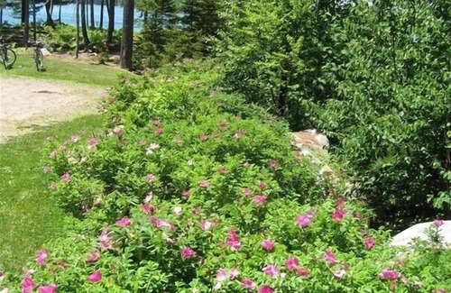 Waldoboro House | Wonderful Cape with Stunning Waterviews and Sunsets