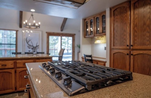 Dogwood Mountain Cabin | Woodland Retreat - Horse-Friendly
