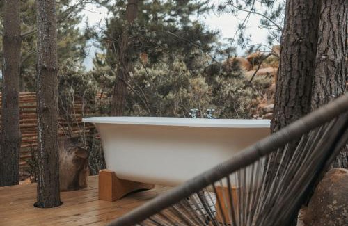 Tulbagh Apartment | Woodpecker Cabin at Vrolikheid Landgoed