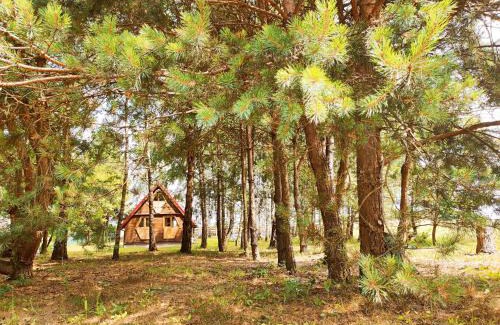 gmina Nagłowice House | Wypoczynek "POD BRZÓSTKAMI"