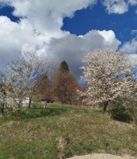 Ochotnica Dolna House | Wypoczynek pod Gorcem