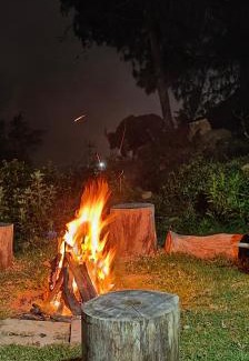 Kodaikanal Villa | Yellow Tree