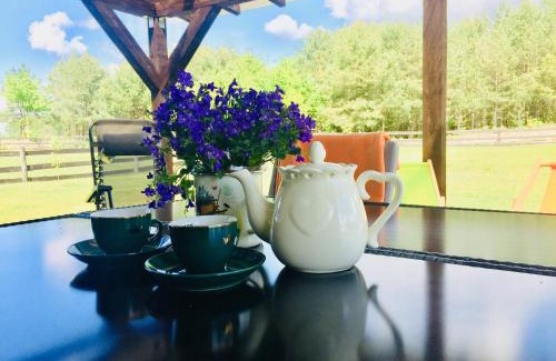 Prazmowo House | Zakątek Salpia I Prażmowo 86