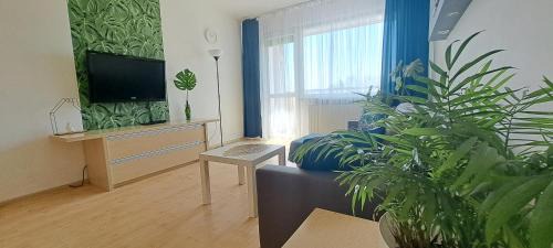 Zaspa Apartment | Zaspa Apartament