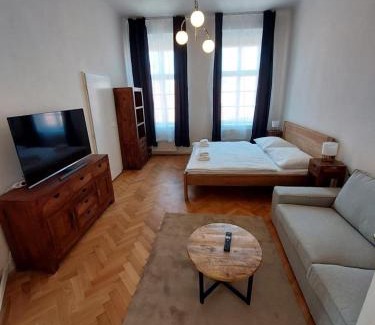 Stare Mesto Apartment | Zelezna - Old Town View Residence