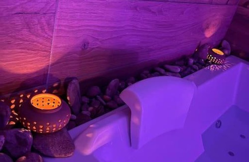 L'Isle-sur-le-Doubs Apartment | Zen Room