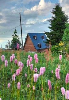 Akcaabat Ski Chalet | Zifinbungalov