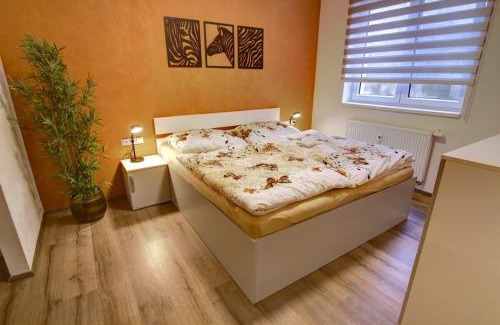 Frymburk Apartment | Zim-Let Lipno