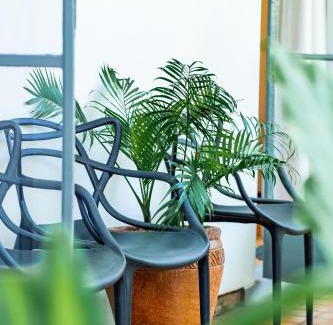 Victoria Falls Apartment | Zimbara