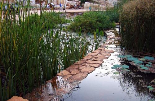 Karmiel House | Zimmer In The Garden