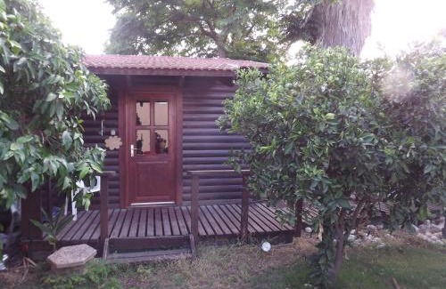 Karmiel House | Zimmer In The Garden