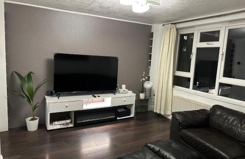 College Apartment | Zion Property
