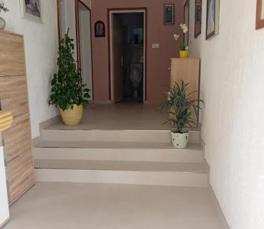 Suha Punta Apartment | Zvjezdana