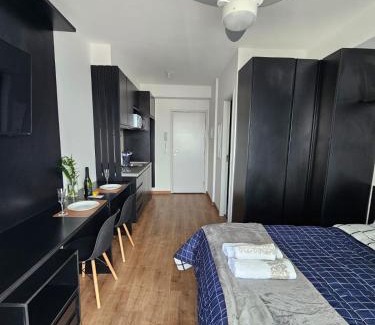 Central Zone Apartment | zyz centro