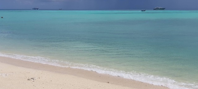 Blu Monkey Phi Phi Island