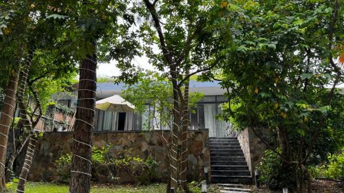 Đại Lải Resort - Bách Thanh C16